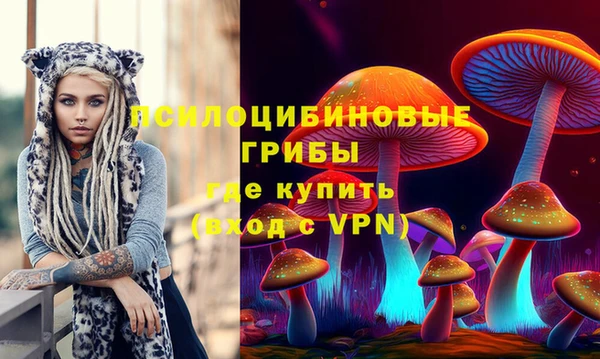 PSILOCYBIN Аркадак