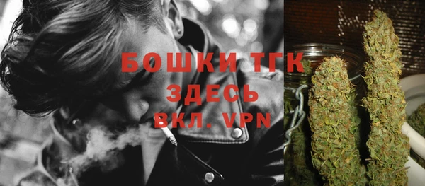 PSILOCYBIN Аркадак