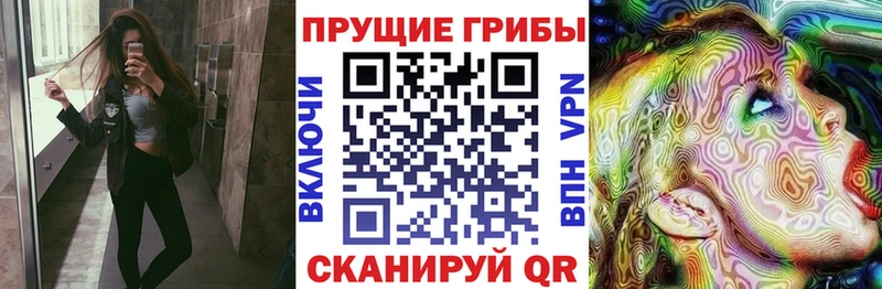наркота  Белая Холуница  Галлюциногенные грибы Magic Shrooms 
